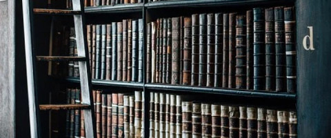 Imagine prezentare BIBLIOTECAR