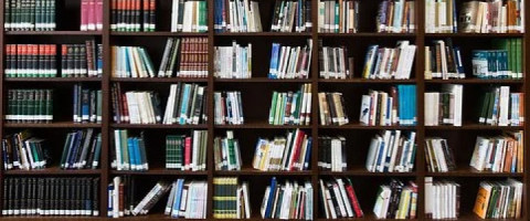 Imagine prezentare BIBLIOTECAR