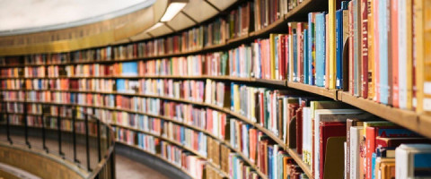 Imagine prezentare BIBLIOTECAR