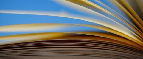 Imagine prezentare BIBLIOTECAR