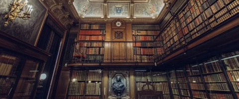 Imagine prezentare BIBLIOTECAR