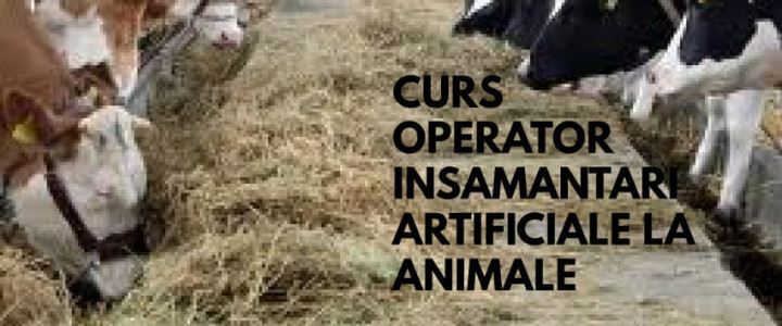 imagine operator insamantari artificiale la animale