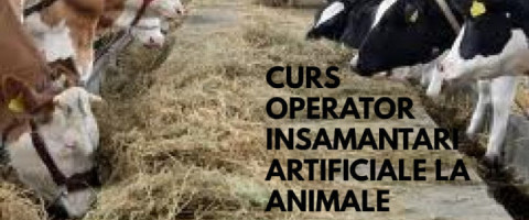 Imagine prezentare operator insamantari artificiale la animale