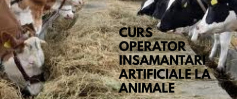 Imagine prezentare operator insamantari artificiale la animale