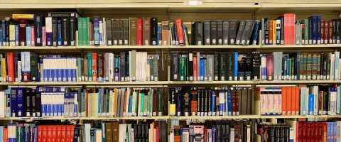 Imagine prezentare BIBLIOTECAR