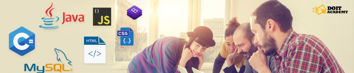 Imagine de prezentare pentru Developing IT Simplicity SRL