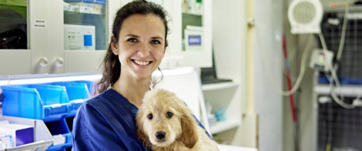 imagine TEHNICIAN VETERINAR