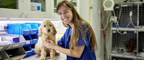 Imagine prezentare TEHNICIAN VETERINAR