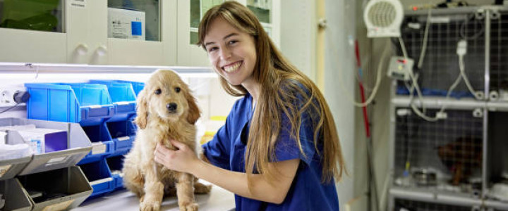 imagine TEHNICIAN VETERINAR