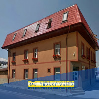 Logo TRANSILVANIA COMPANY SRL