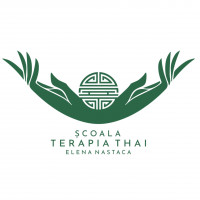 Logo Nicolaie Elena