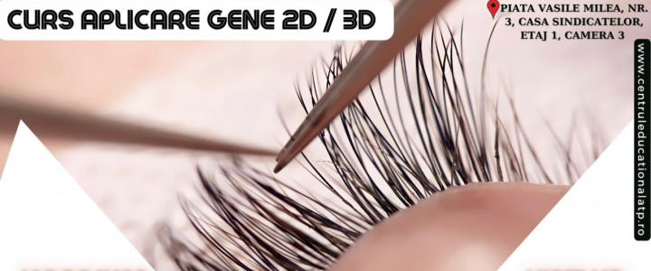 imagine Curs APLICARE GENE (fir-cu-fir 2D, 3D)