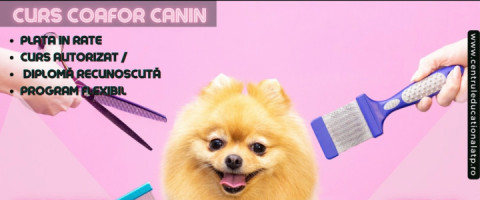 Imagine prezentare Curs: COAFOR CANIN
