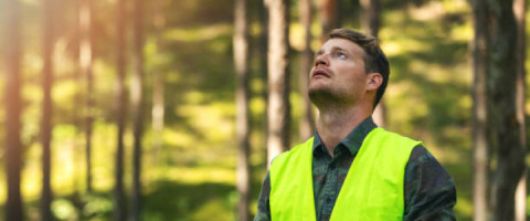 Imagine prezentare TEHNICIAN IN SILVICULTURA SI EXPLOATARI FORESTIERE