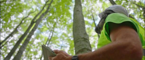 Imagine prezentare TEHNICIAN IN SILVICULTURA SI EXPLOATARI FORESTIERE