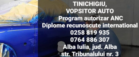 Imagine prezentare TINICHIGIU VOPSITOR AUTO