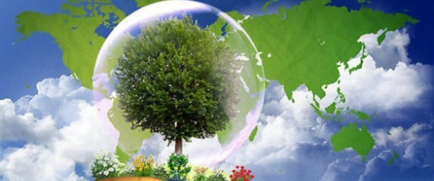 Imagine prezentare Responsabil de Mediu