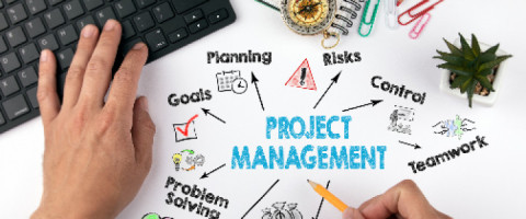 Imagine prezentare Manager de Proiect