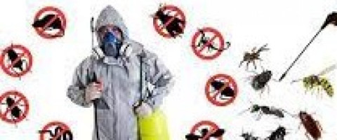 Imagine prezentare Agent dezinfecţie, deratizare, dezinsecţie 