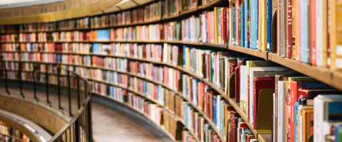 Curs: Bibliotecar - Studii Superioare, Targoviste, jud. Dambovita
