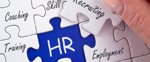Curs: Manager Resurse Umane, Targoviste, jud. Dambovita