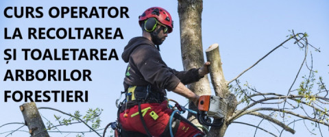 Imagine prezentare CURS OPERATOR LA RECOLTAREA SI TOALETAREA ARBORILOR FORESTIERI