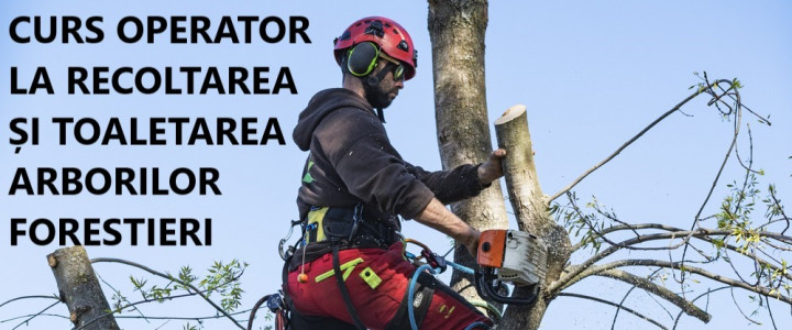 imagine CURS OPERATOR LA RECOLTAREA SI TOALETAREA ARBORILOR FORESTIERI