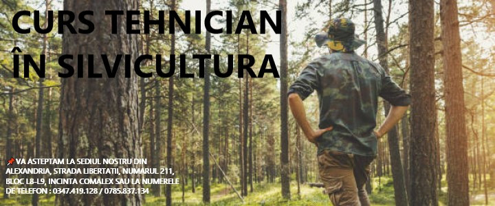 imagine CURS TEHNICIAN ÎN SILVICULTURA ȘI EXPLOATĂRI FORESTIERE