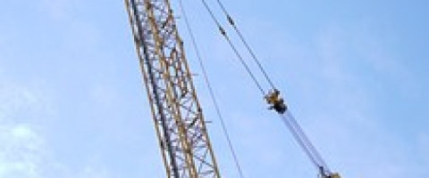 Imagine prezentare Macaragiu