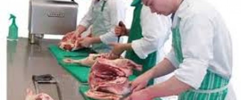 Imagine prezentare Macelar