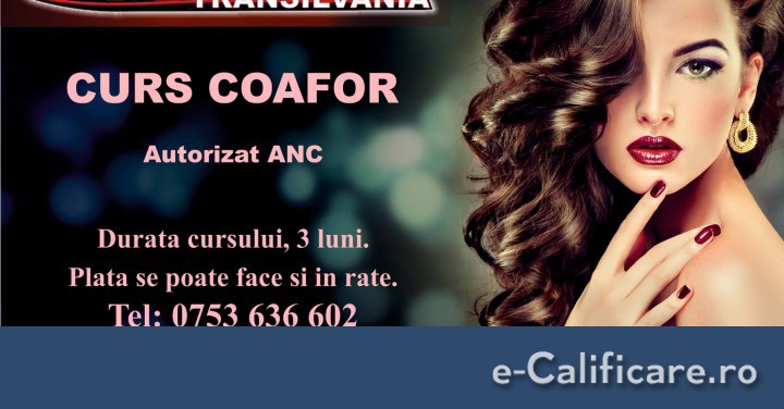 Goods Sincerity host Curs: Coafor-frizerie | Satu-mare, Satu Mare