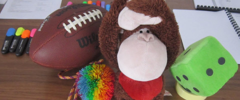 Imagine prezentare Train the Trainer