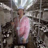 Fotografie de profil pentru Ioana Tudor